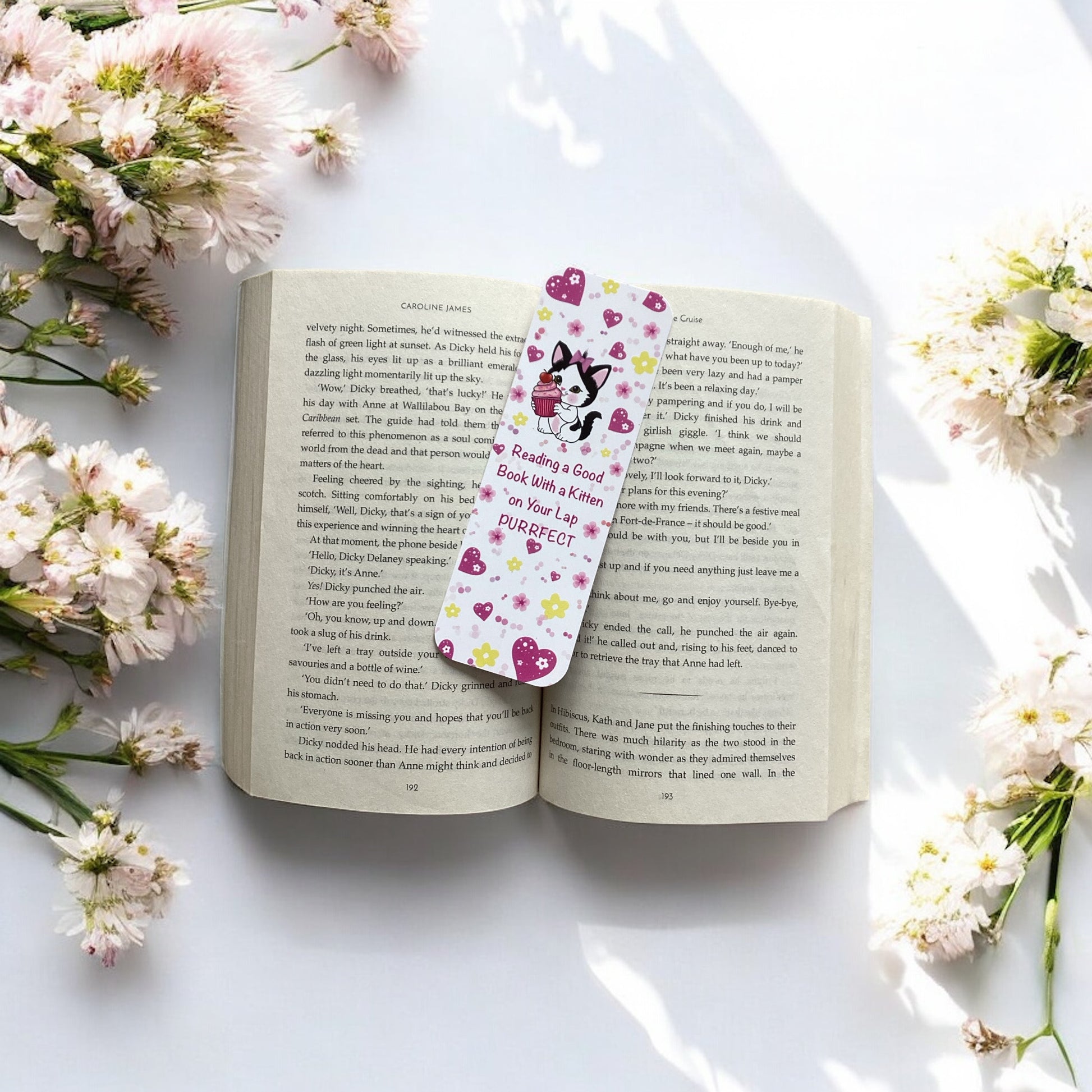 Kitten and cupcake front view on an open book